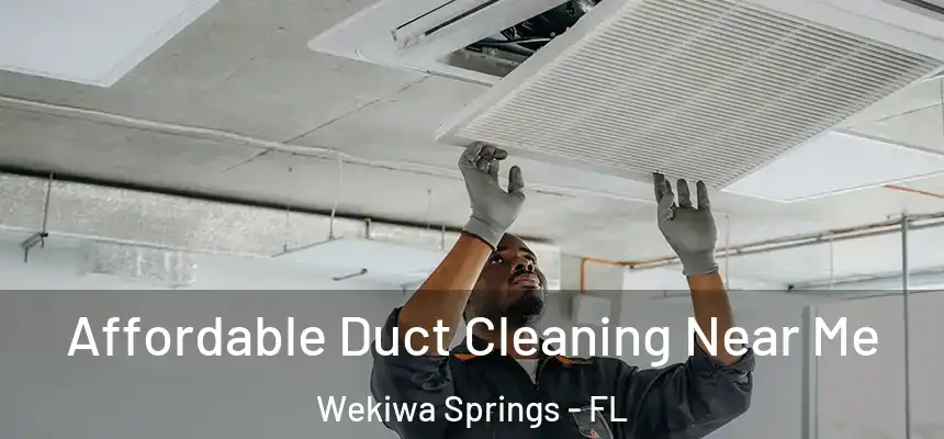 Affordable Duct Cleaning Near Me Wekiwa Springs - FL