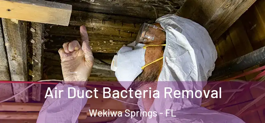  Air Duct Bacteria Removal Wekiwa Springs - FL