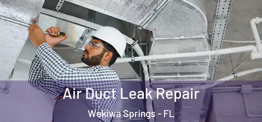 Air Duct Leak Repair Wekiwa Springs - FL