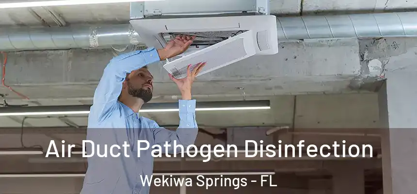 Air Duct Pathogen Disinfection Wekiwa Springs - FL