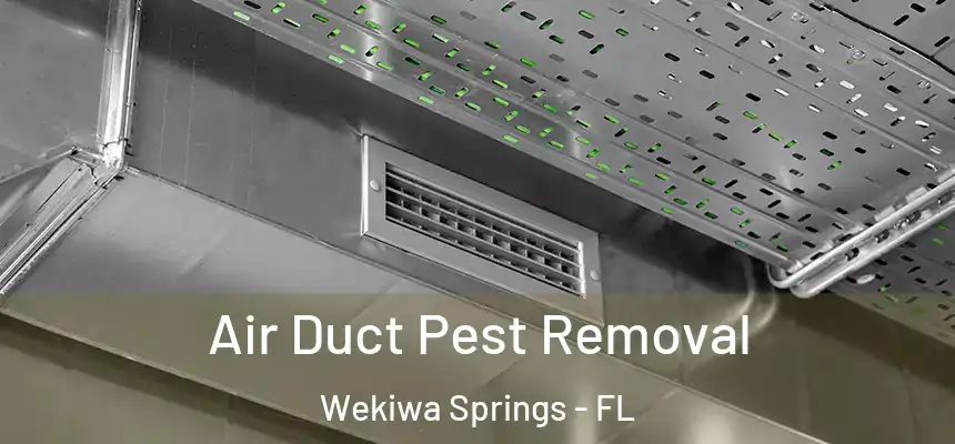 Air Duct Pest Removal Wekiwa Springs - FL
