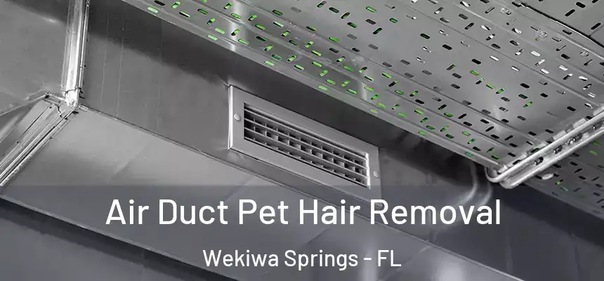  Air Duct Pet Hair Removal Wekiwa Springs - FL
