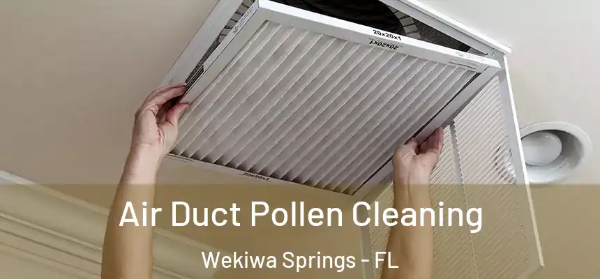 Air Duct Pollen Cleaning Wekiwa Springs - FL
