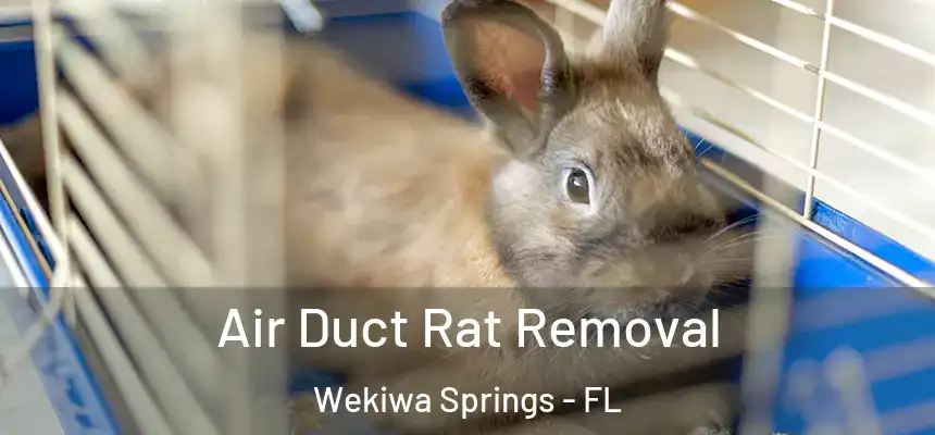 Air Duct Rat Removal Wekiwa Springs - FL