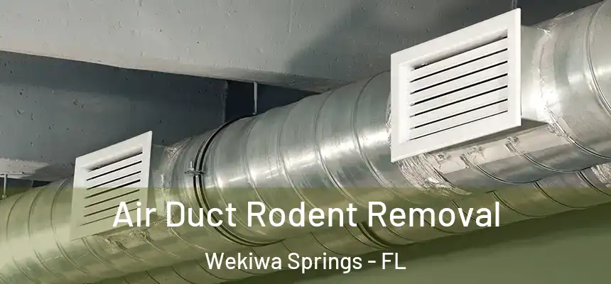  Air Duct Rodent Removal Wekiwa Springs - FL