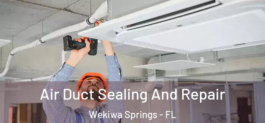 Air Duct Sealing And Repair Wekiwa Springs - FL