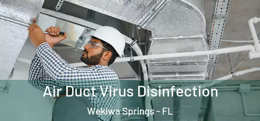  Air Duct Virus Disinfection Wekiwa Springs - FL