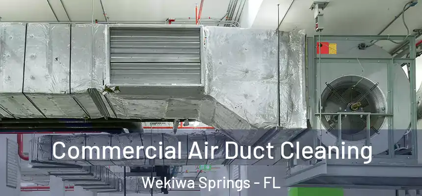 Commercial Air Duct Cleaning Wekiwa Springs - FL