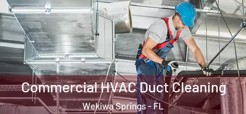  Commercial HVAC Duct Cleaning Wekiwa Springs - FL