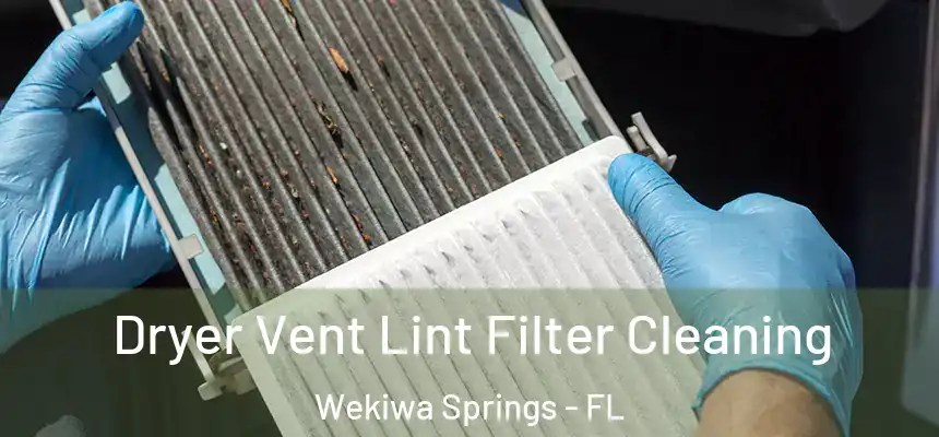Dryer Vent Lint Filter Cleaning Wekiwa Springs - FL