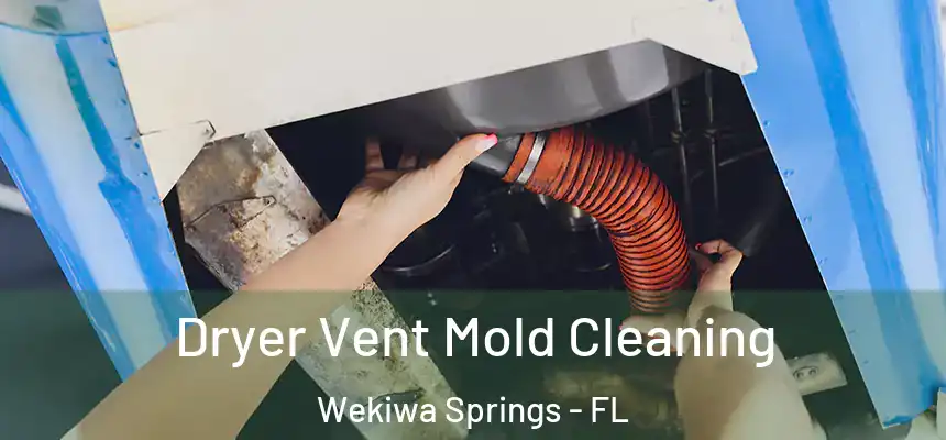 Dryer Vent Mold Cleaning Wekiwa Springs - FL
