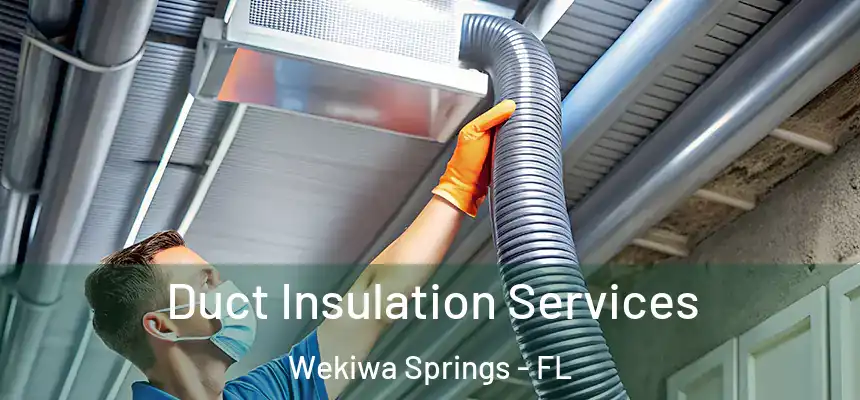  Duct Insulation Services Wekiwa Springs - FL