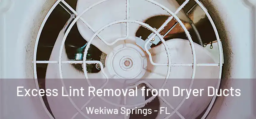  Excess Lint Removal from Dryer Ducts Wekiwa Springs - FL