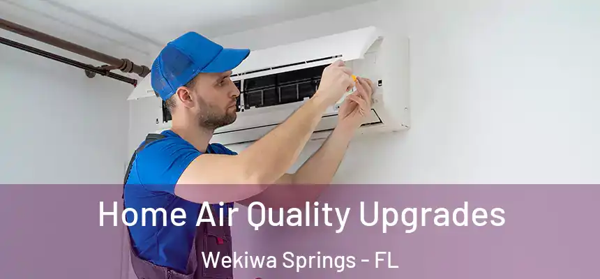  Home Air Quality Upgrades Wekiwa Springs - FL