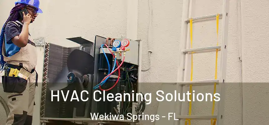 HVAC Cleaning Solutions Wekiwa Springs - FL