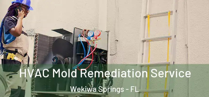 HVAC Mold Remediation Service Wekiwa Springs - FL