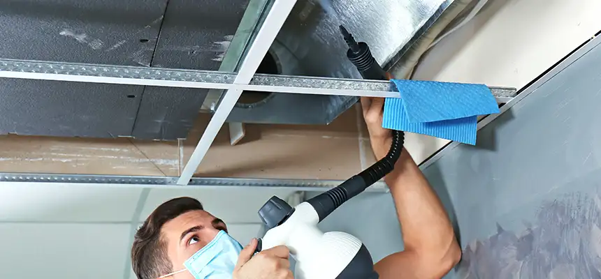 Our Air Duct Rodent Removal Services in Wekiwa Springs, FL