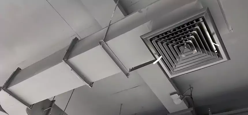 Restorative Allergy Relief Vent Cleaning – Coil, Blower & Housing Detail in Wekiwa Springs