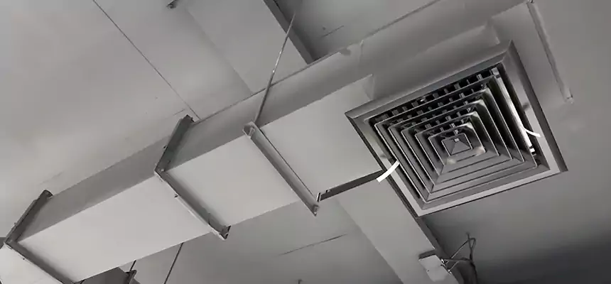 Our Rodent Droppings In Vents Services in Wekiwa Springs, FL