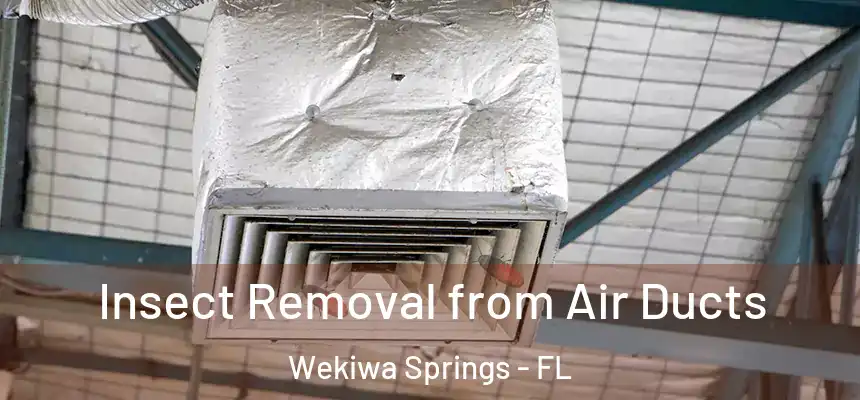Insect Removal from Air Ducts Wekiwa Springs - FL