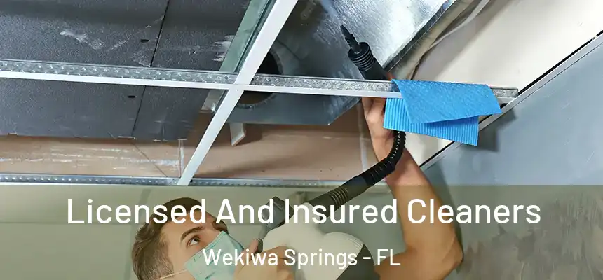 Licensed And Insured Cleaners Wekiwa Springs - FL
