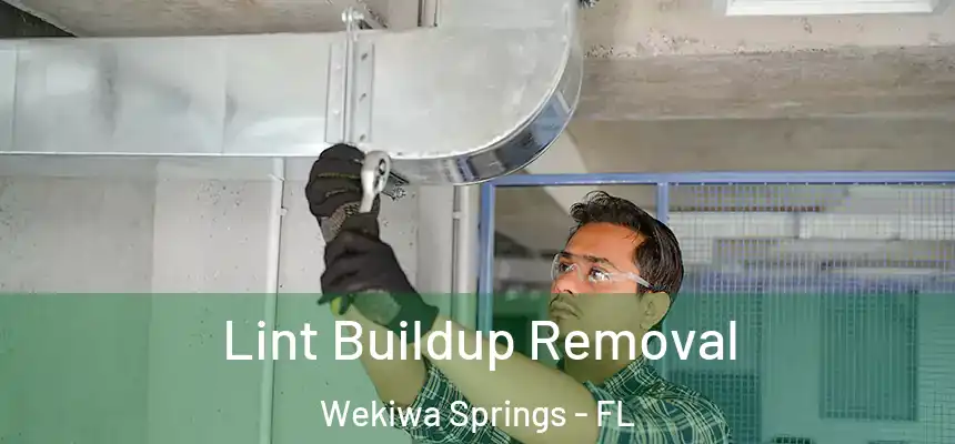 Lint Buildup Removal Wekiwa Springs - FL