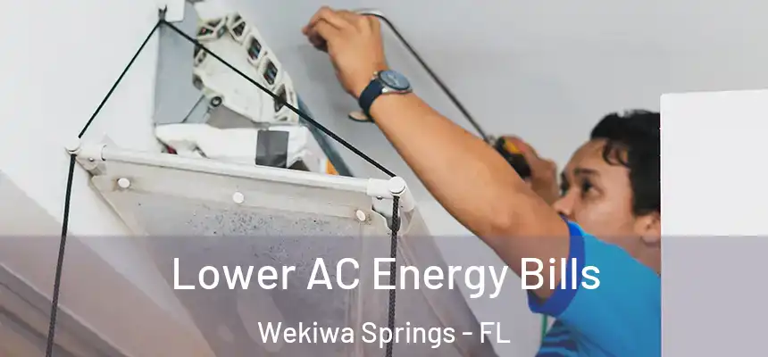Lower AC Energy Bills Wekiwa Springs - FL