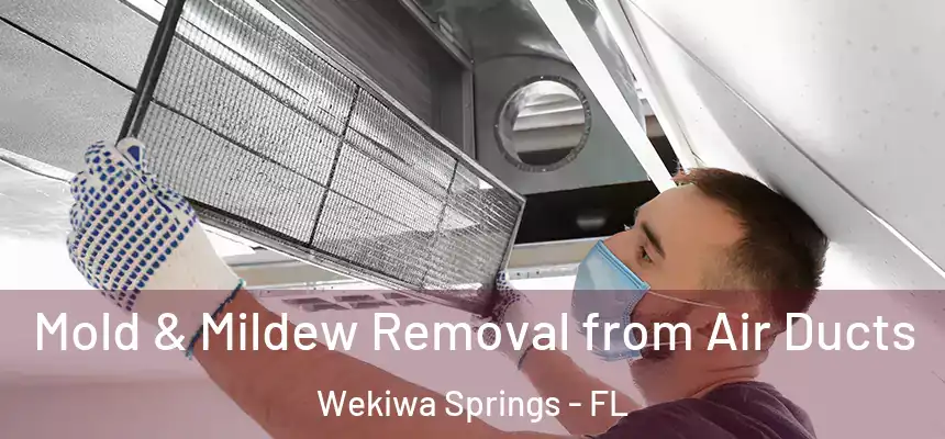  Mold & Mildew Removal from Air Ducts Wekiwa Springs - FL