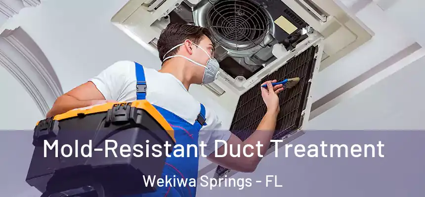 Mold-Resistant Duct Treatment Wekiwa Springs - FL
