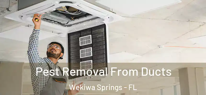  Pest Removal From Ducts Wekiwa Springs - FL