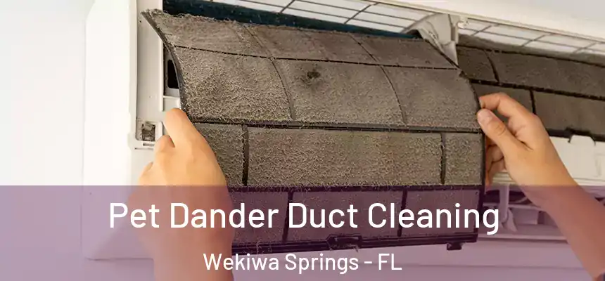 Pet Dander Duct Cleaning Wekiwa Springs - FL