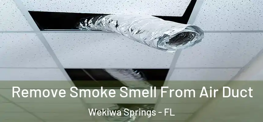 Remove Smoke Smell From Air Duct Wekiwa Springs - FL