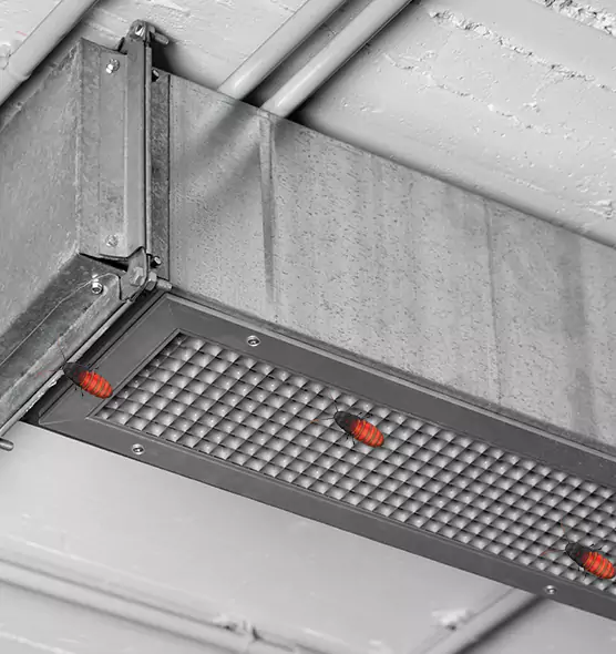 About Air Duct Cockroach Removal in Wekiwa Springs, FL