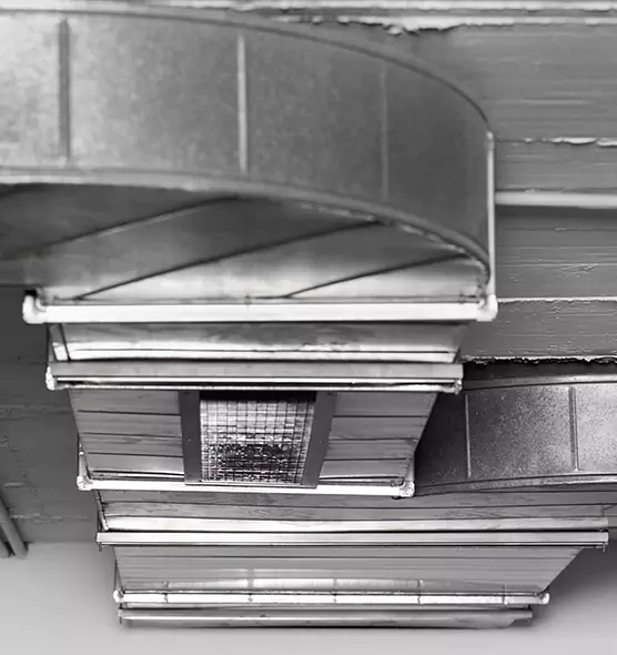 Professional Air Duct Pet Hair Removal in Wekiwa Springs, FL