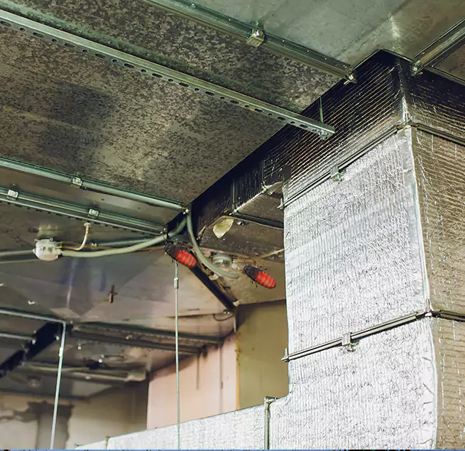 Why Homeowners & Businesses Trust Us in Wekiwa Springs, FL?