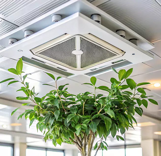 Why Homeowners & Businesses Trust Us in Wekiwa Springs, FL?