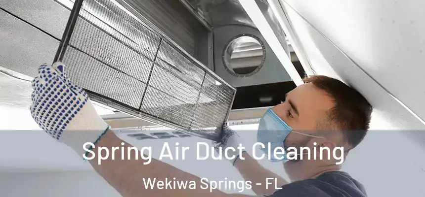  Spring Air Duct Cleaning Wekiwa Springs - FL