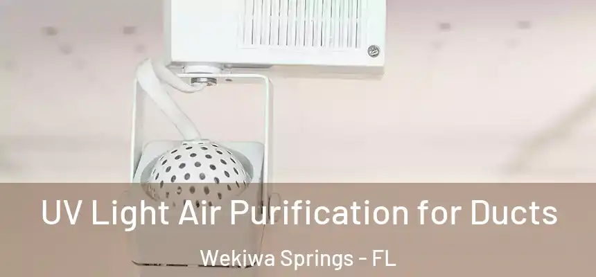  UV Light Air Purification for Ducts Wekiwa Springs - FL