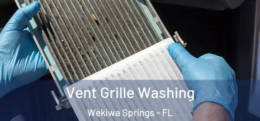 Vent Grille Washing Wekiwa Springs - FL
