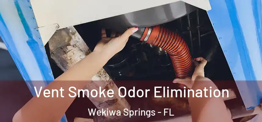  Vent Smoke Odor Elimination Wekiwa Springs - FL