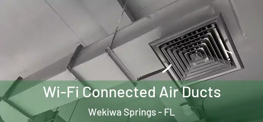  Wi-Fi Connected Air Ducts Wekiwa Springs - FL